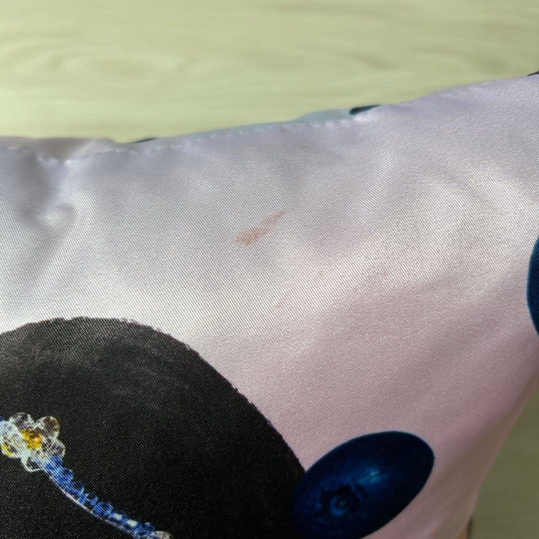 FRUITS ZIPPER 真中まな グッズセット