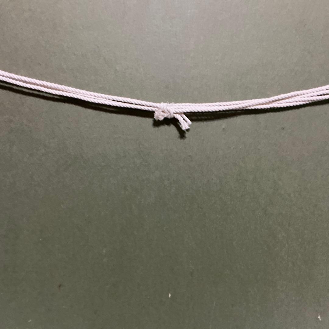 水野珠洗　「伊勢海老とサザエ」　『明治~大正期 にかけて活躍した日本画家です』