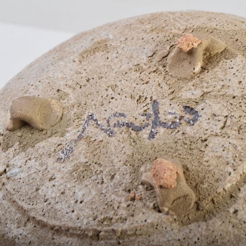 北大路魯山人作　志野焼　絵志野　鉄絵花草文　皿　五客　時代箱　M　8880