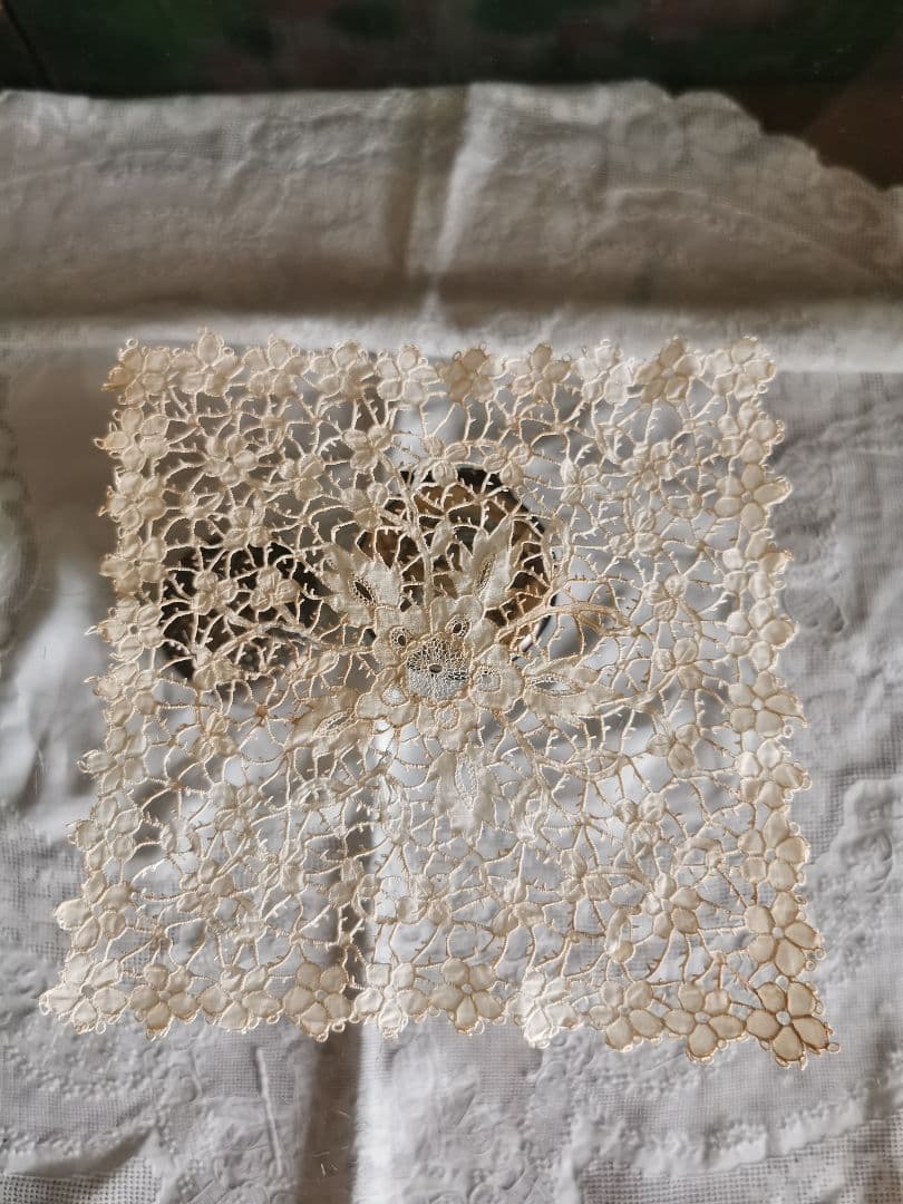 1800年代 キャリックマクロスレース精緻なカットワーク&ニードル刺繍 三つ葉花