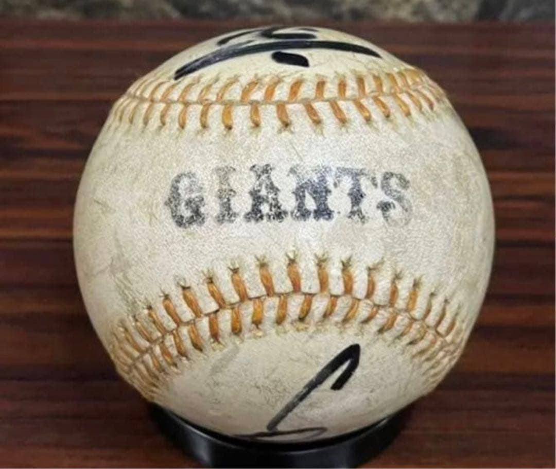 ☆長嶋茂雄さん×高田繁さん☆ 寄せ書き直筆サインボール　ジャイアンツ　巨人軍