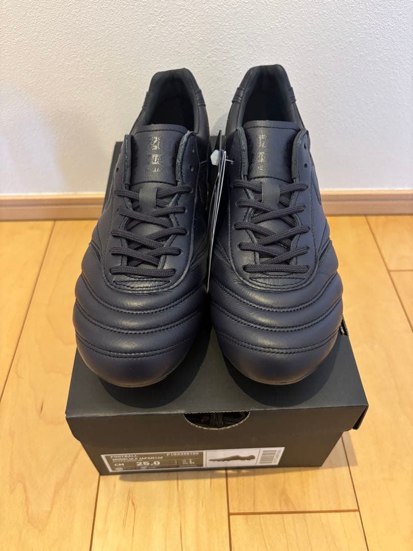 Mizuno Morelia Japan LTD モレリア 25 25.0