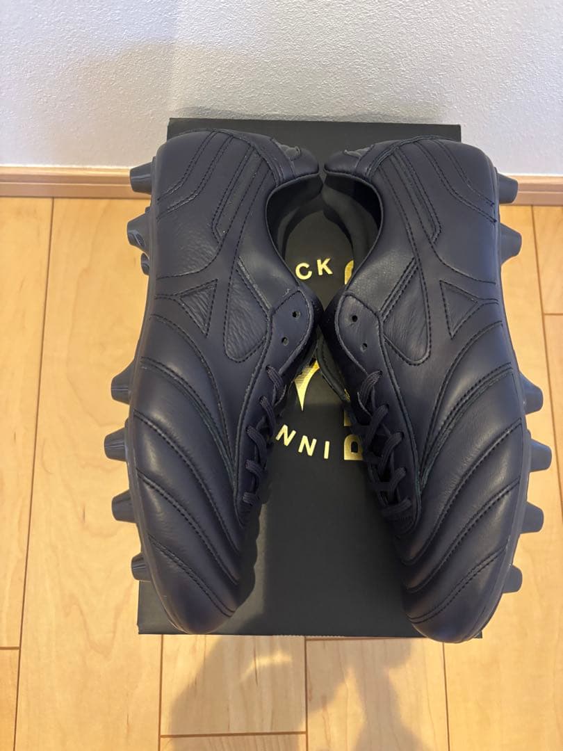 Mizuno Morelia Japan LTD モレリア 25 25.0