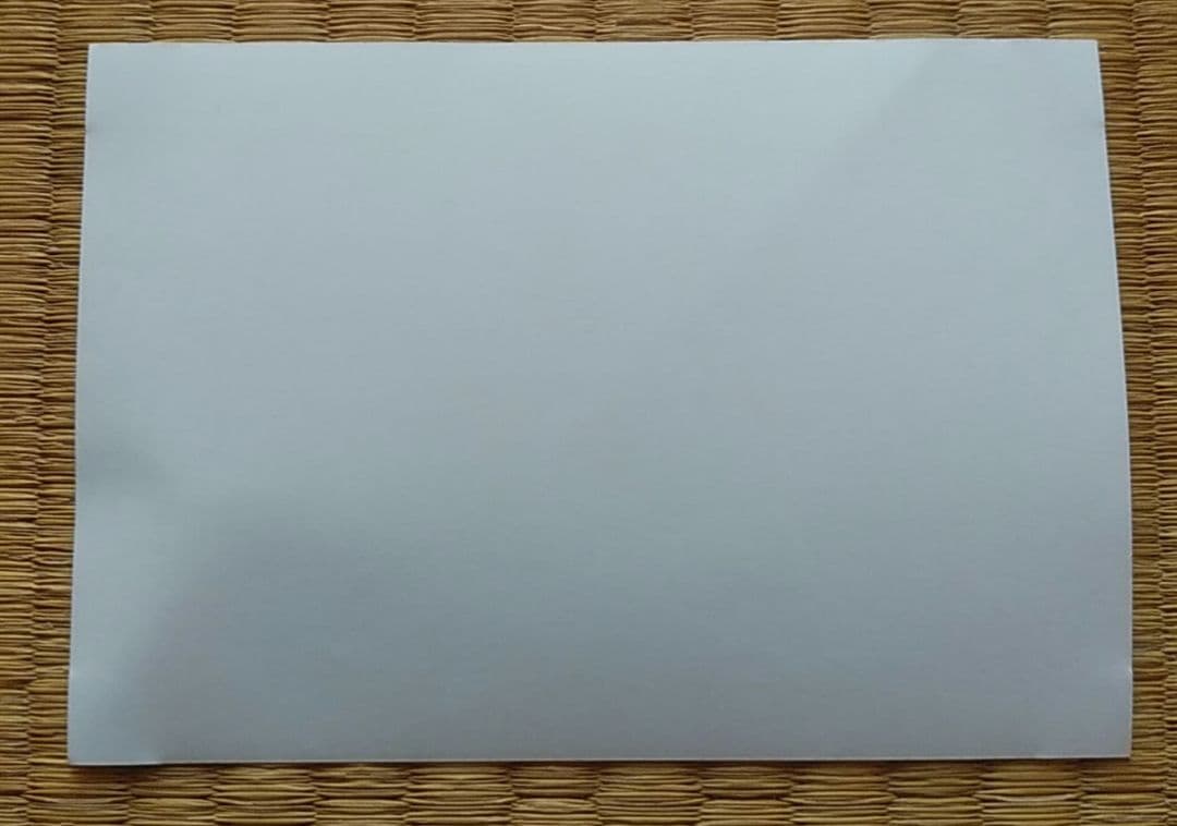 【匿名配送】黒執事 セバスチャン シエル 駒鳥 ブロマイド バスセット