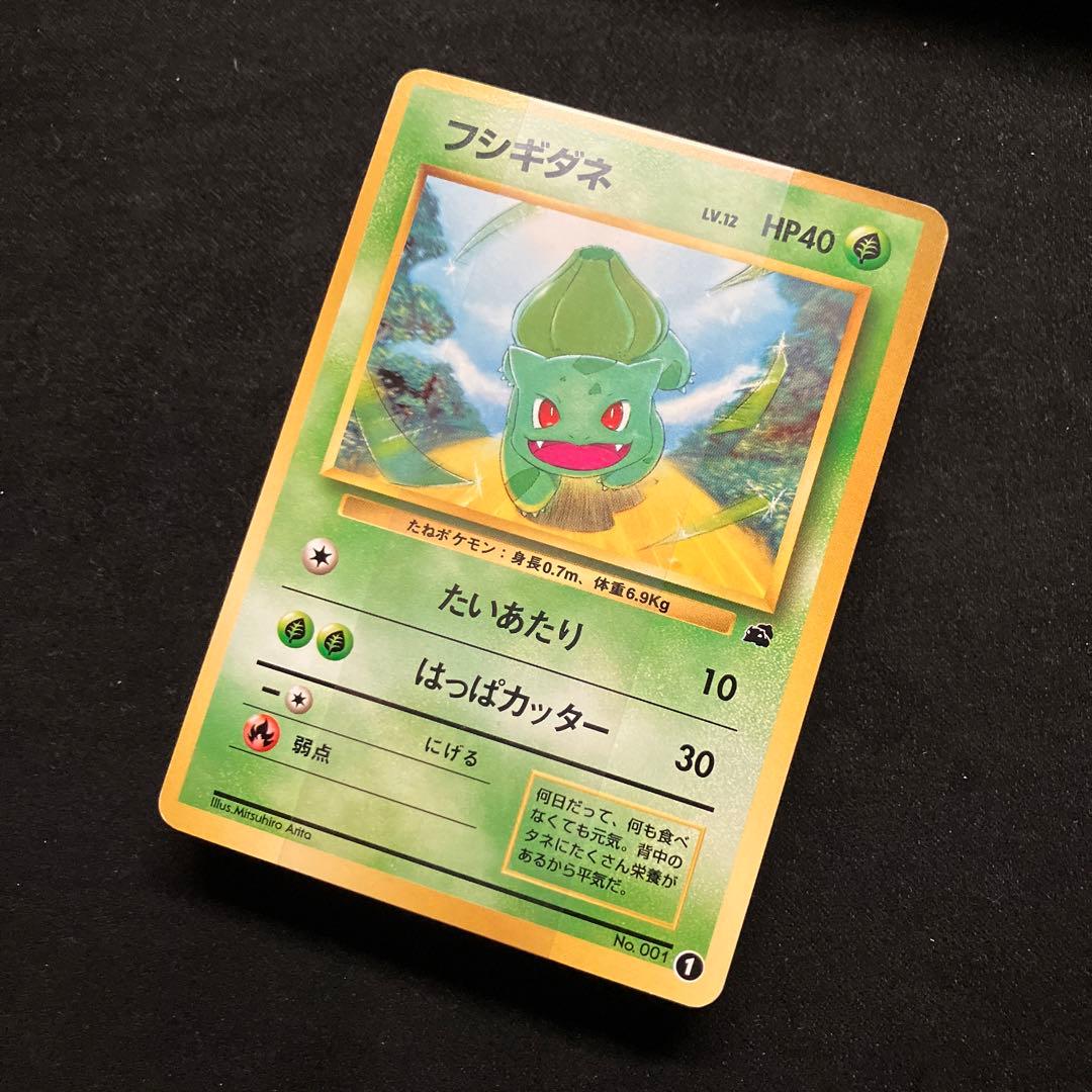 準美品-美品　旧裏　ポケモンカード　イントロパック　セミコンプ※