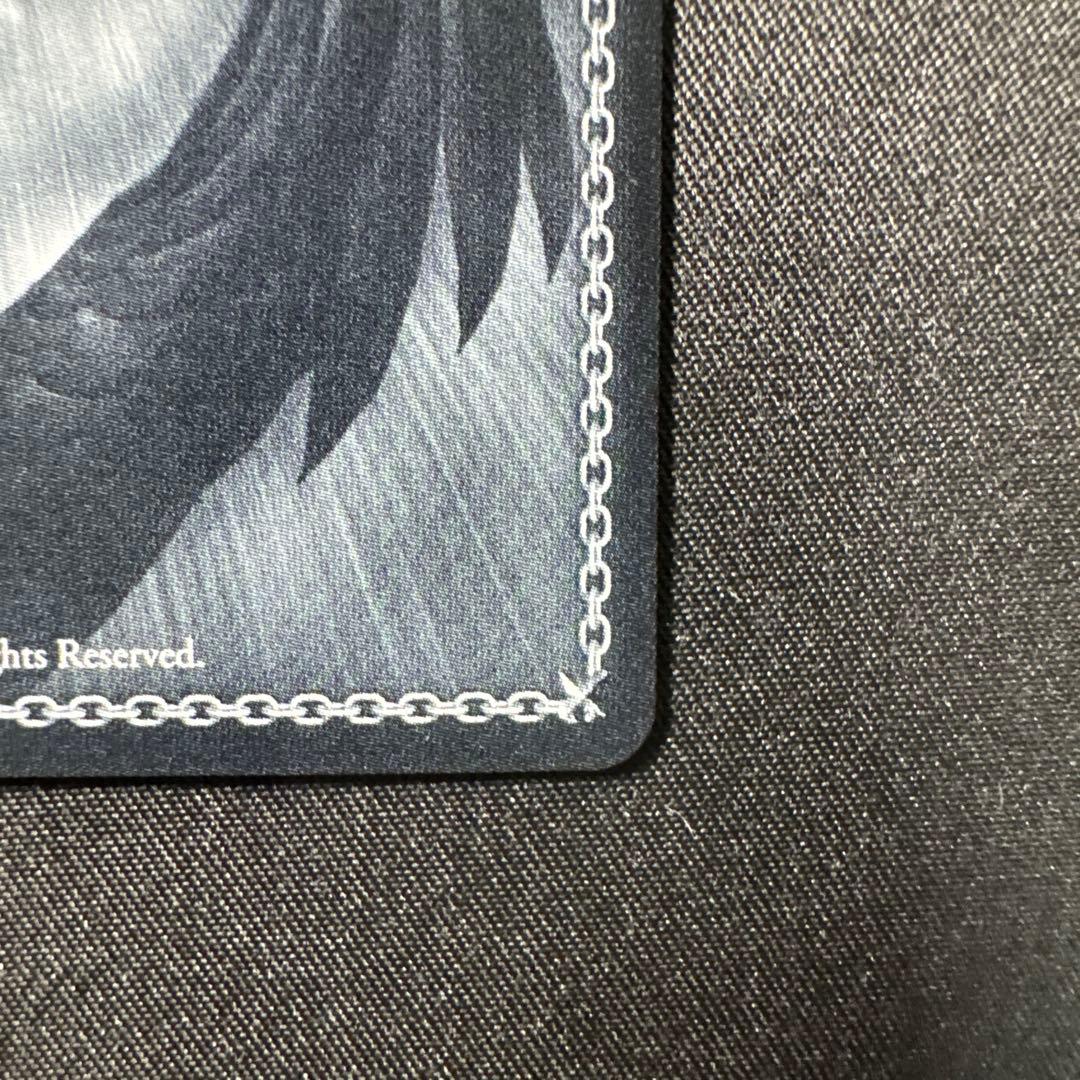 ヴァイスシュヴァルツ　ブルーアーカイブ　対策委員会　ホシノ　SP サイン