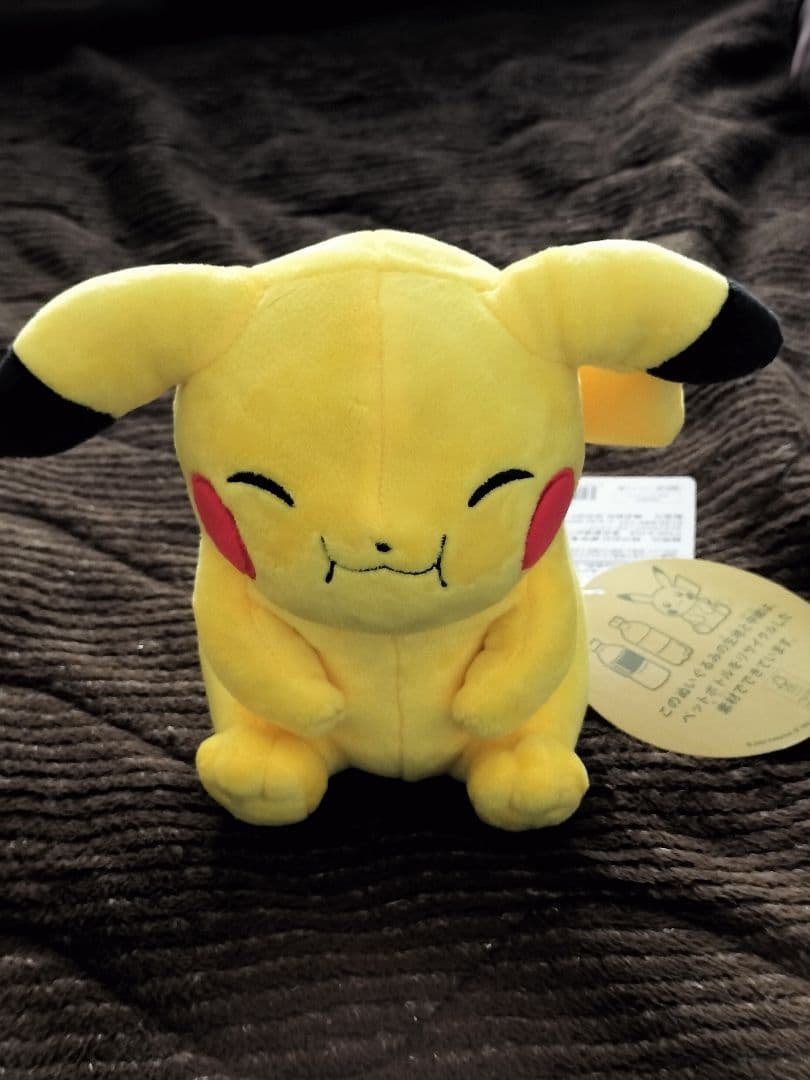 ポケモン マイピカチュウ 垂れ耳 困り顔 ぽっちゃり笑顔　セット