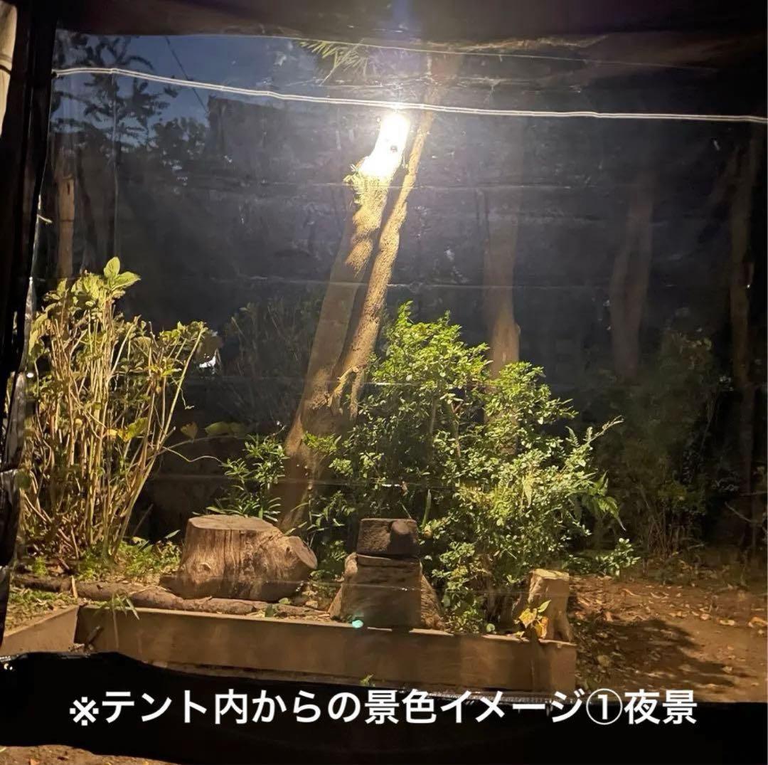 新品 FUTURE FOX BASE EVO用 TPU前幕(透明窓)カスタム特注