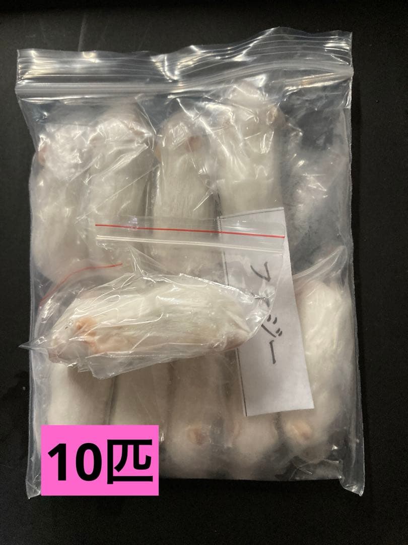 一部地域送料無料★10匹セット 冷凍ファジー　約5.5cm　爬虫類　冷凍えさ