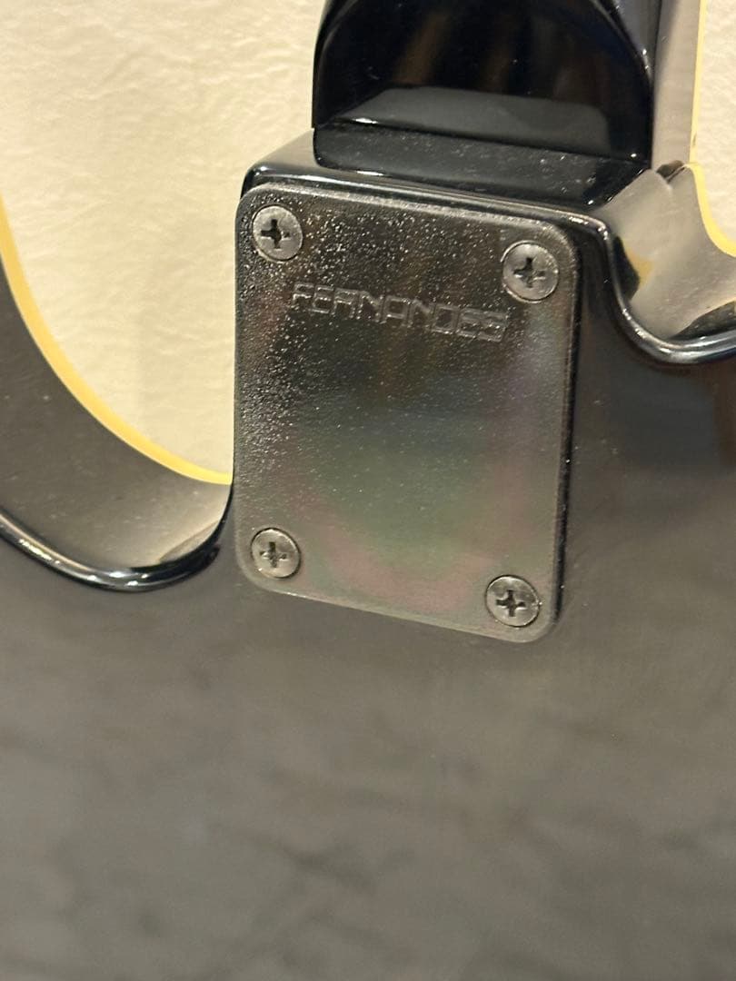 FERNANDES TE-95 HT BlackLine フェルナンデス布袋寅泰