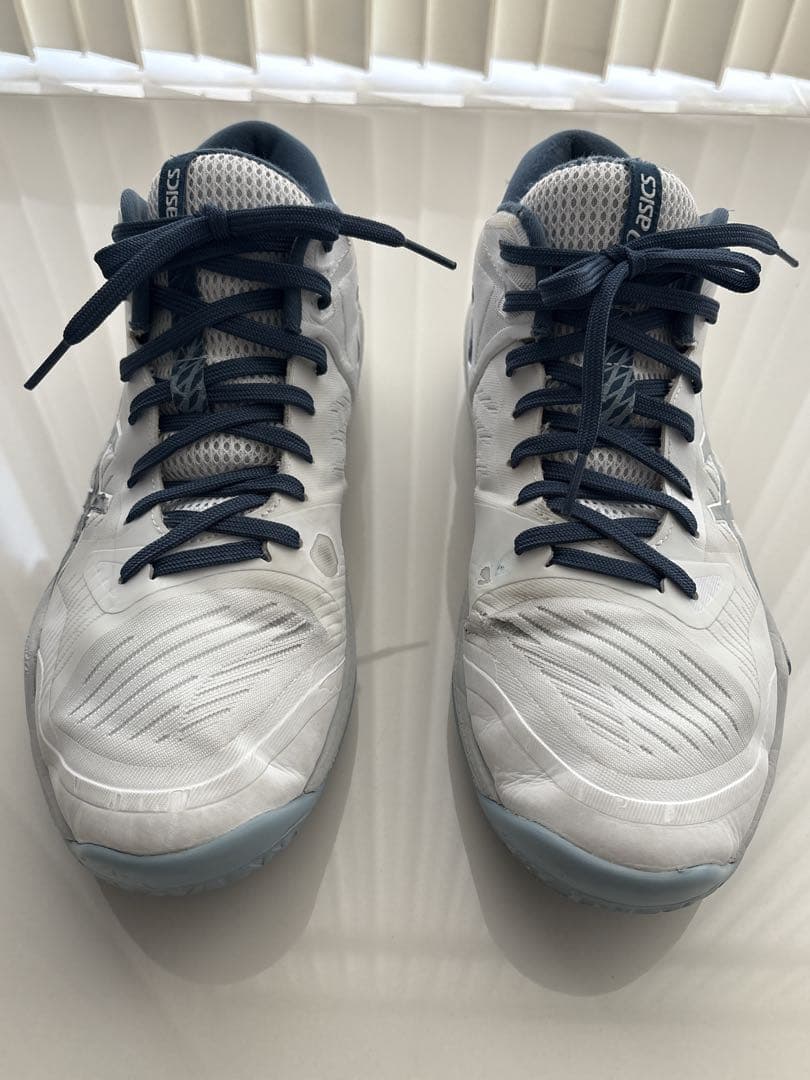 ASICS /スカイエリートFF MT3 /ホワイト/ドルフィングレー28㎝