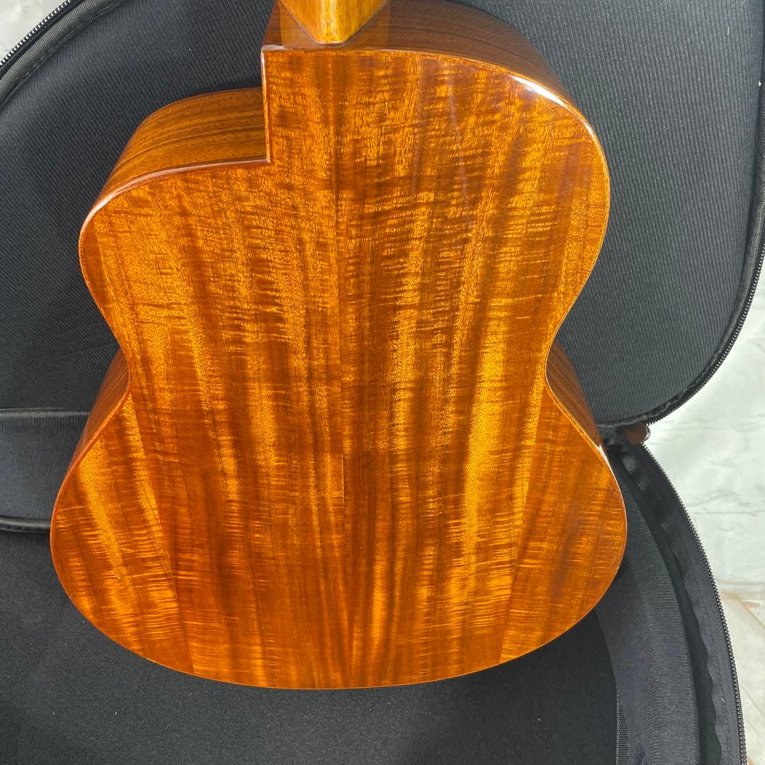 aNueNue BIRD M52 アコースティックギター