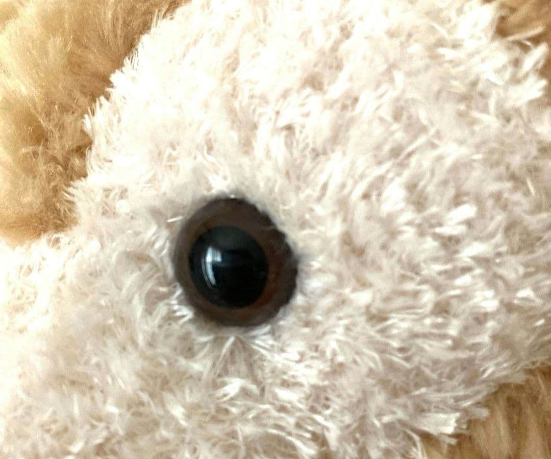 トイスケルトン入り　ダッフィー&シェリーメイ ぬいぐるみセット　Sサイズ