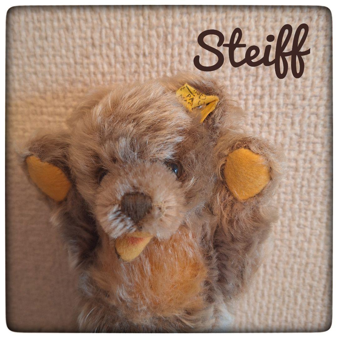 【シュタイフ社製】テディベア　ゾッティ