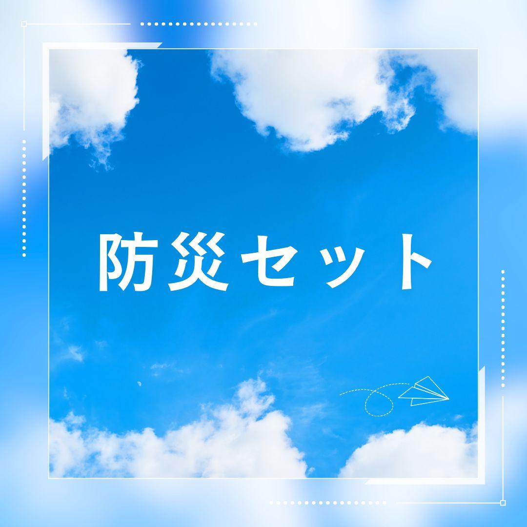 20個セット​【31点】持ち歩ける防災セット A4ポーチ入り 会社・学校・車用