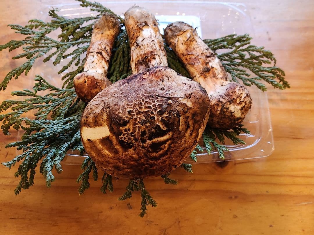 北海道産松茸　335g