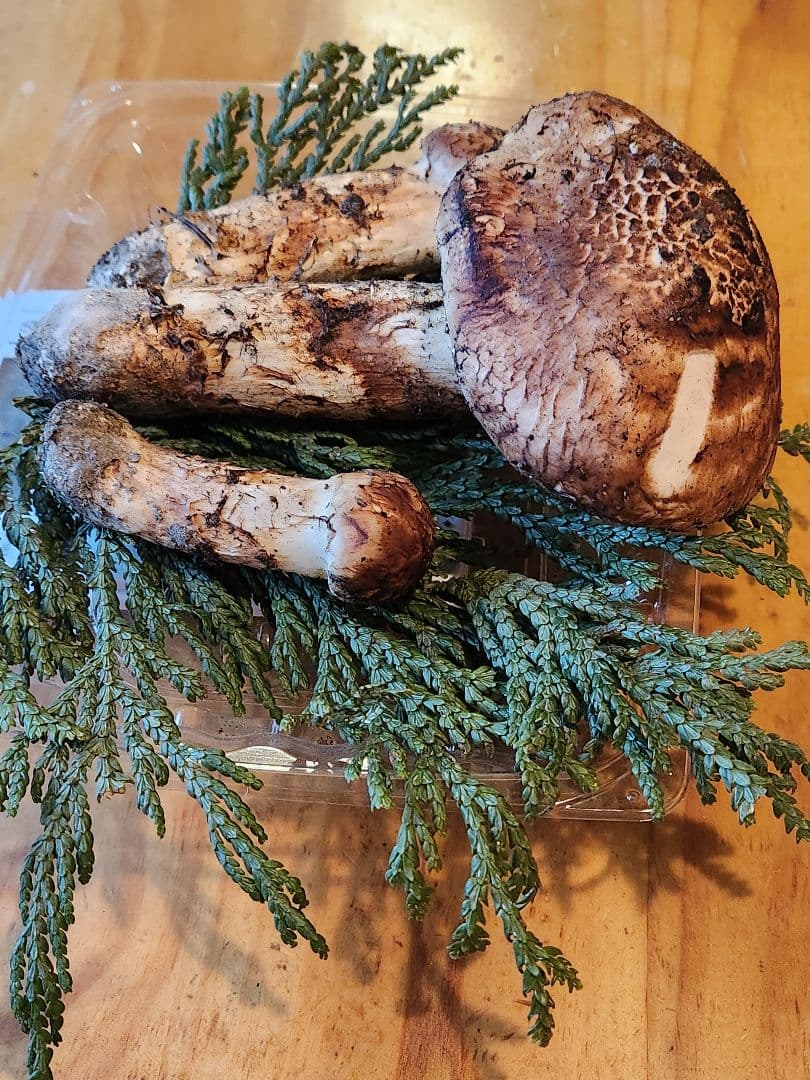 北海道産松茸　335g