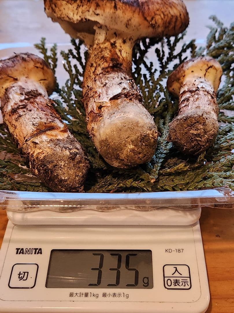 北海道産松茸　335g