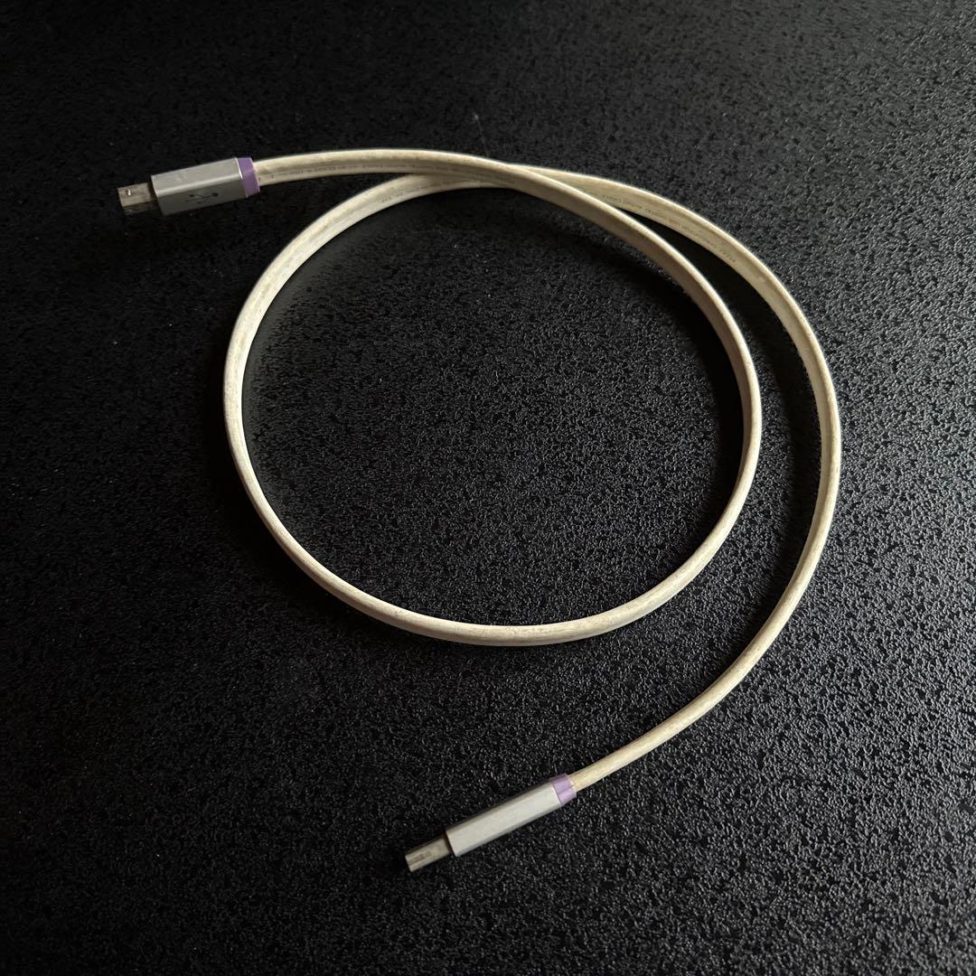 DTM・DAW RME Babyface Pro + OYAIDE d+USB ClassS