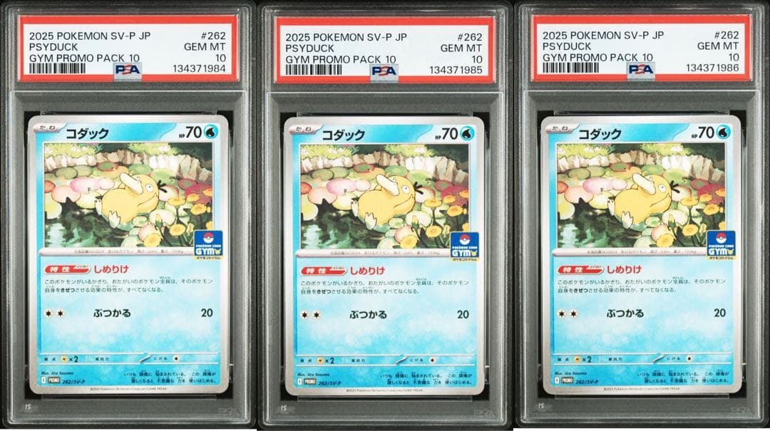 PSA10 コダック　しめりけ　262/SV-P ジムプロモ　3枚セット