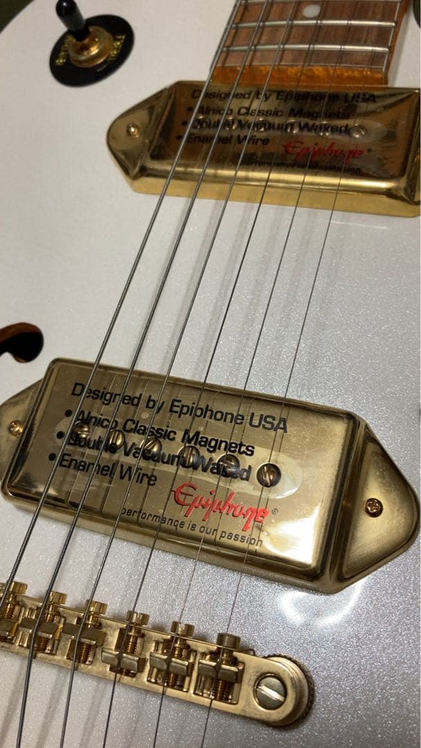 ね子さま専用Epiphone wildkat エピフォン ワイルドキャット