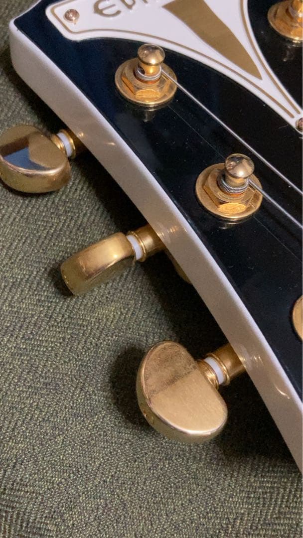 ね子さま専用Epiphone wildkat エピフォン ワイルドキャット