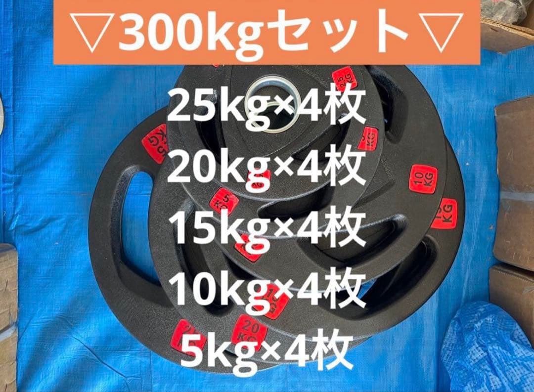 【アッキーちゃん】ダンベルプレート300kg
