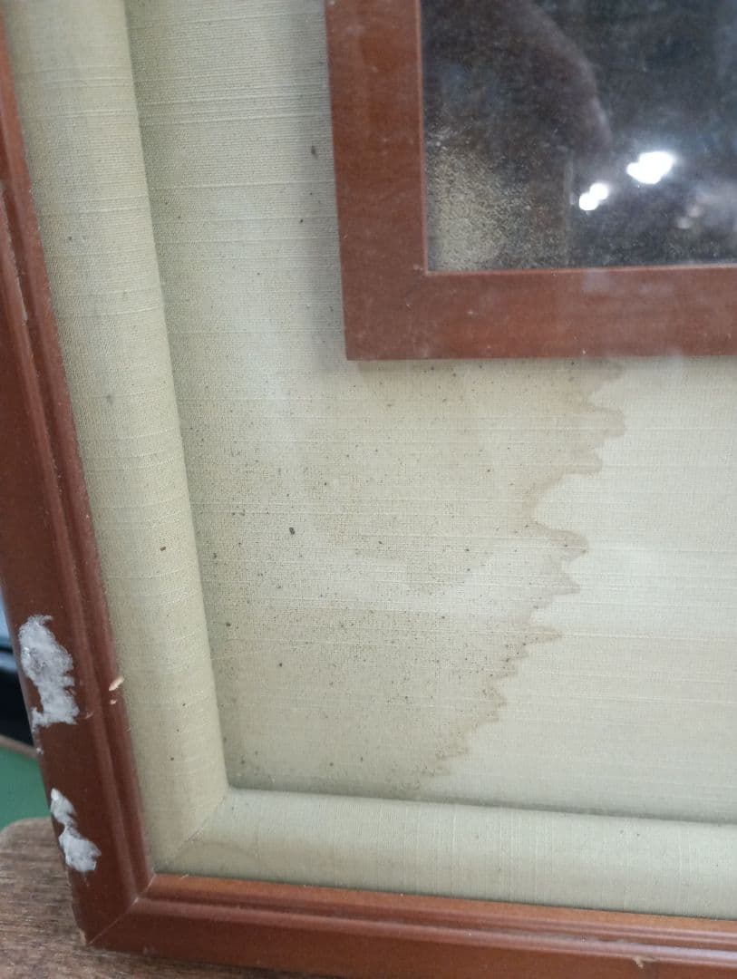 4977）勲四等瑞宝章　勲章額装