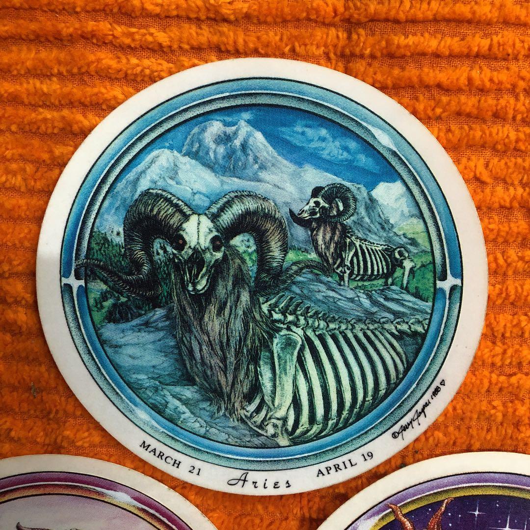 ステッカー　シール　デカール  屍　しかばね　ろっ骨　化石　まとめて　ジェスパー