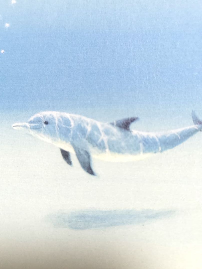 葉祥明　ハロー！ジェイク　限定品　No.315