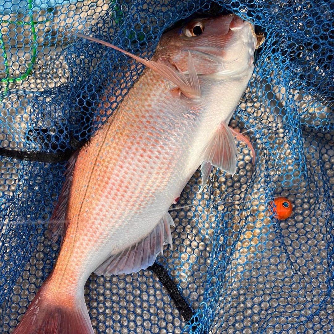 丸型オレンジ260g2個　タイラバ　鯛ラバヘッド　タングステン　送料無料