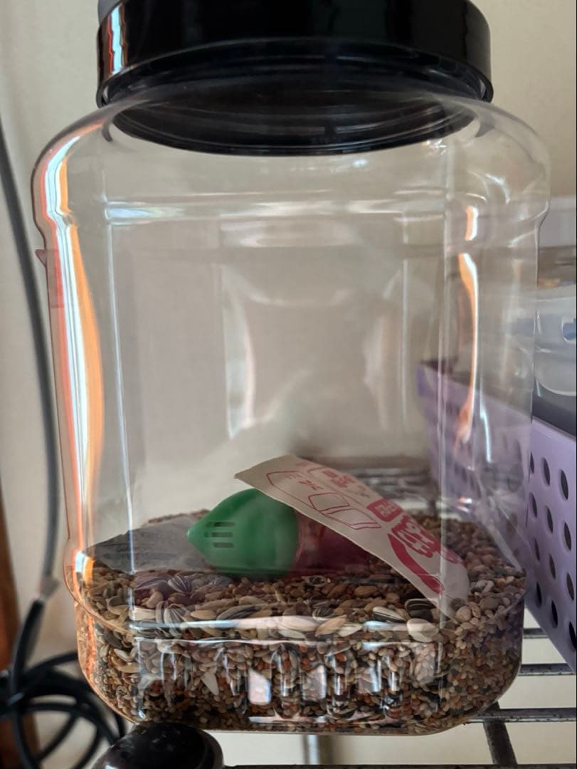 SANKO 鳥かご ホワイト/イエロー 餌 シード おもちゃセット付き