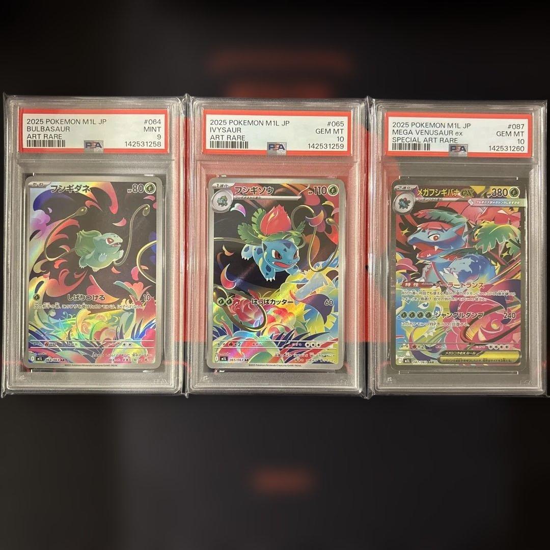 3連番　フシギダネ フシギソウ AR メガフシギバナex SAR