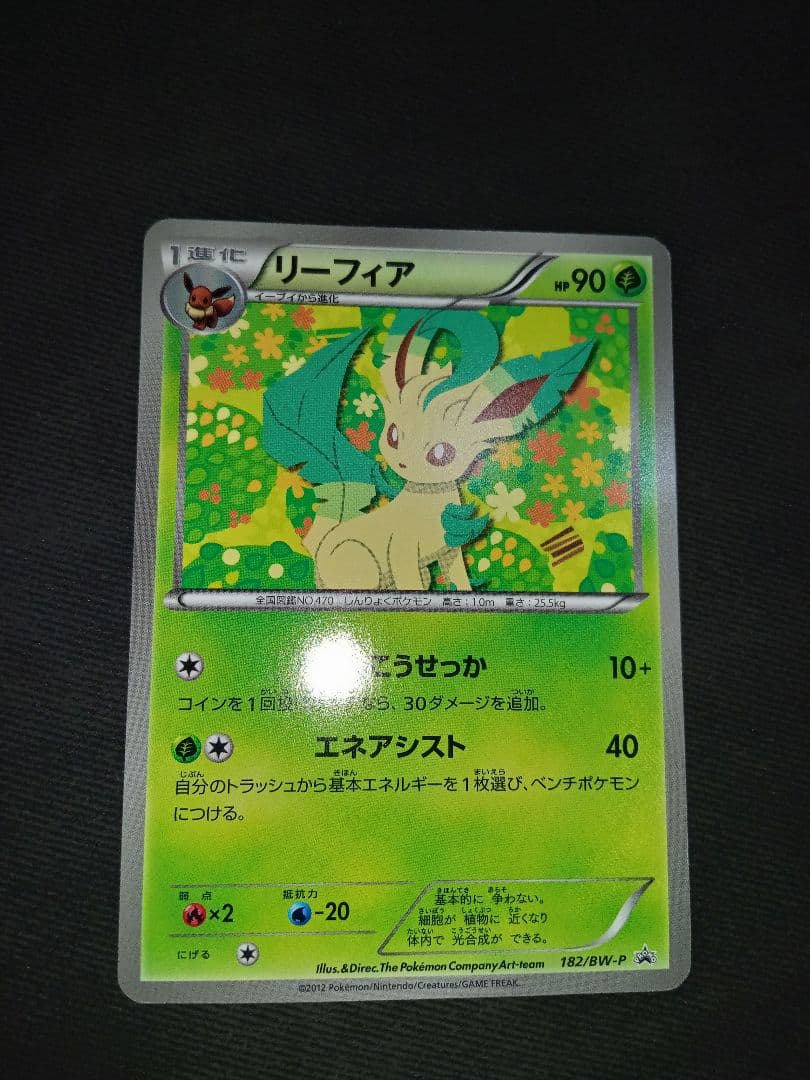 ポケモンカード　ポケカ　ブラッキー　25th　グレイシア　リーフィア　まとめ売り