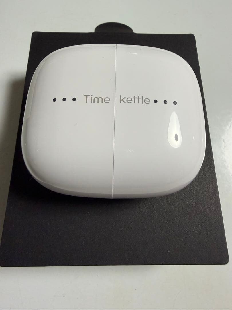 Timekettle M3 Translator Earbuds 翻訳イヤフォン