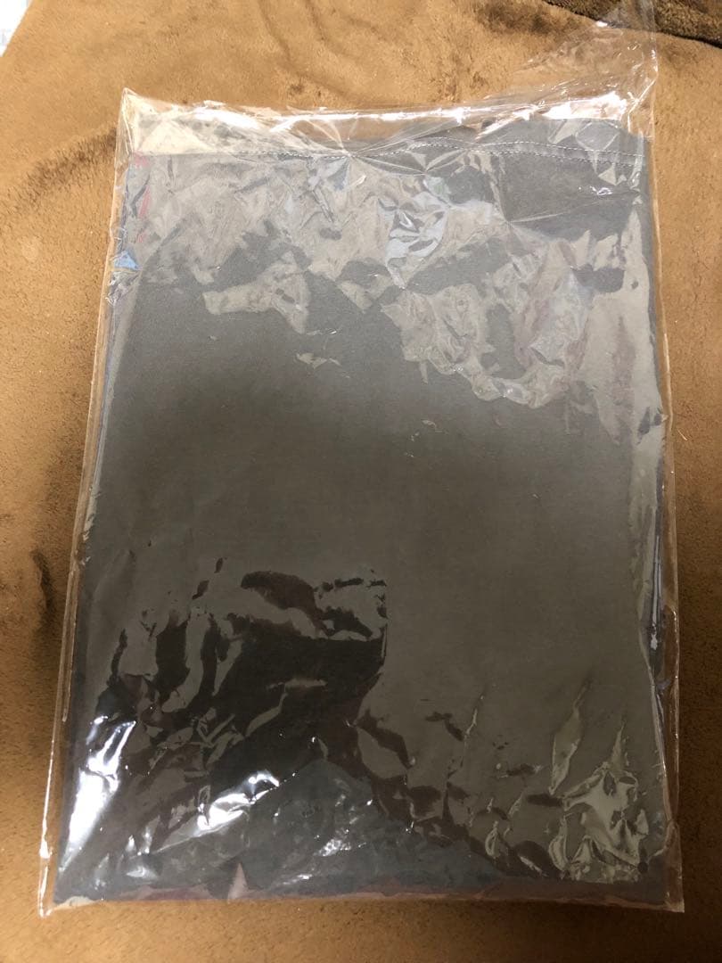 ＤｅｆＴｅｃｈ Tシャツ 4 ELEMENTS TOUR 2025