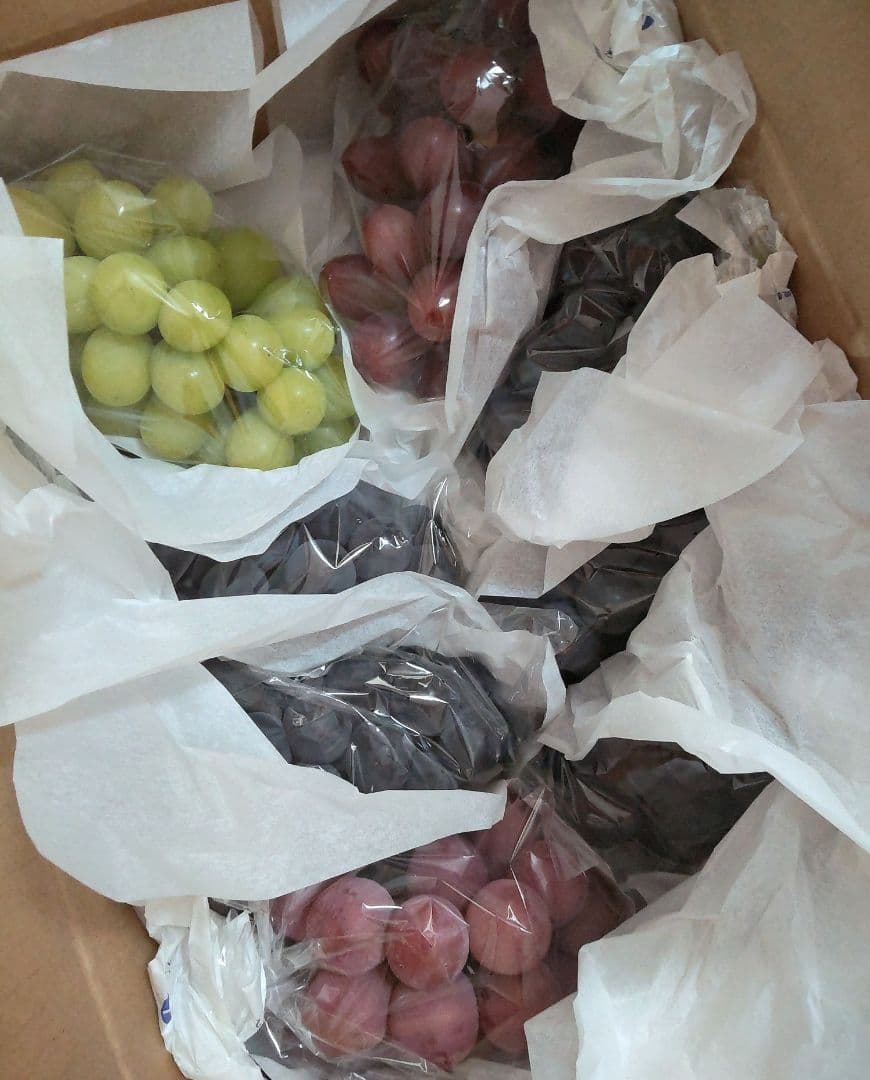 【長野県産︎︎⟡限定品】クイーンルージュ2kg