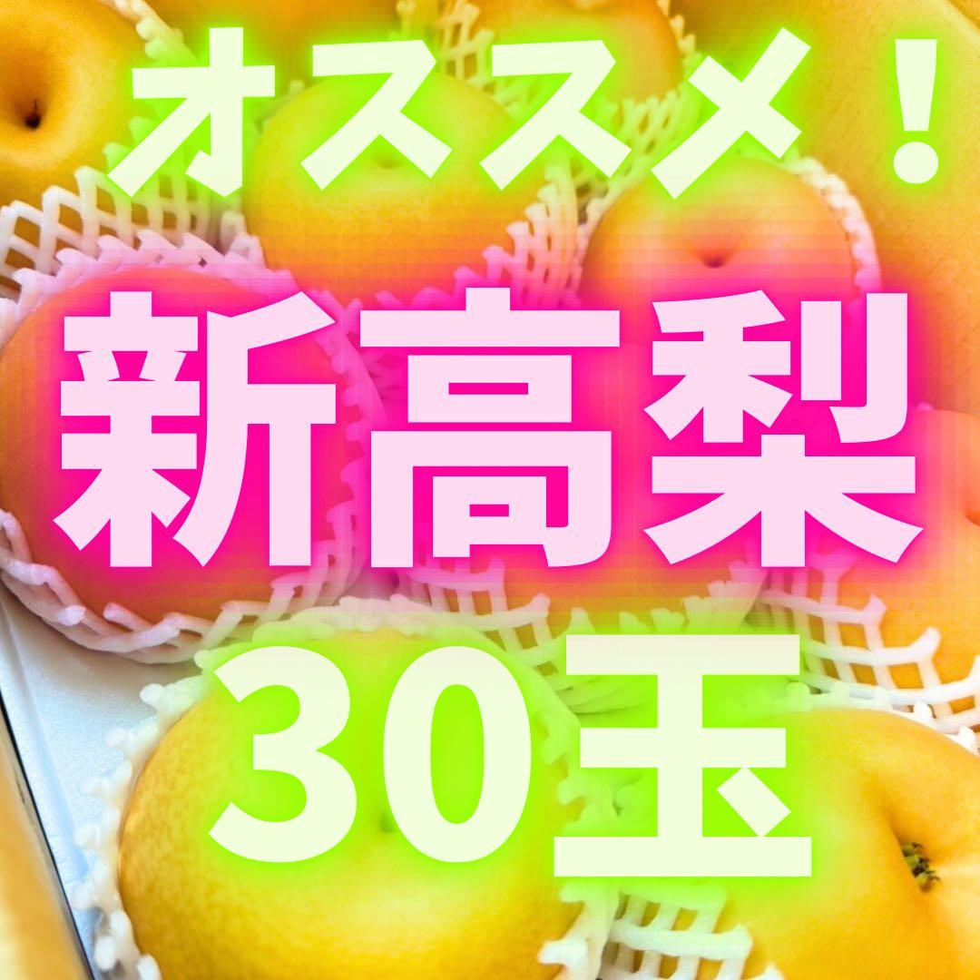 梨　新高梨　30玉　　03