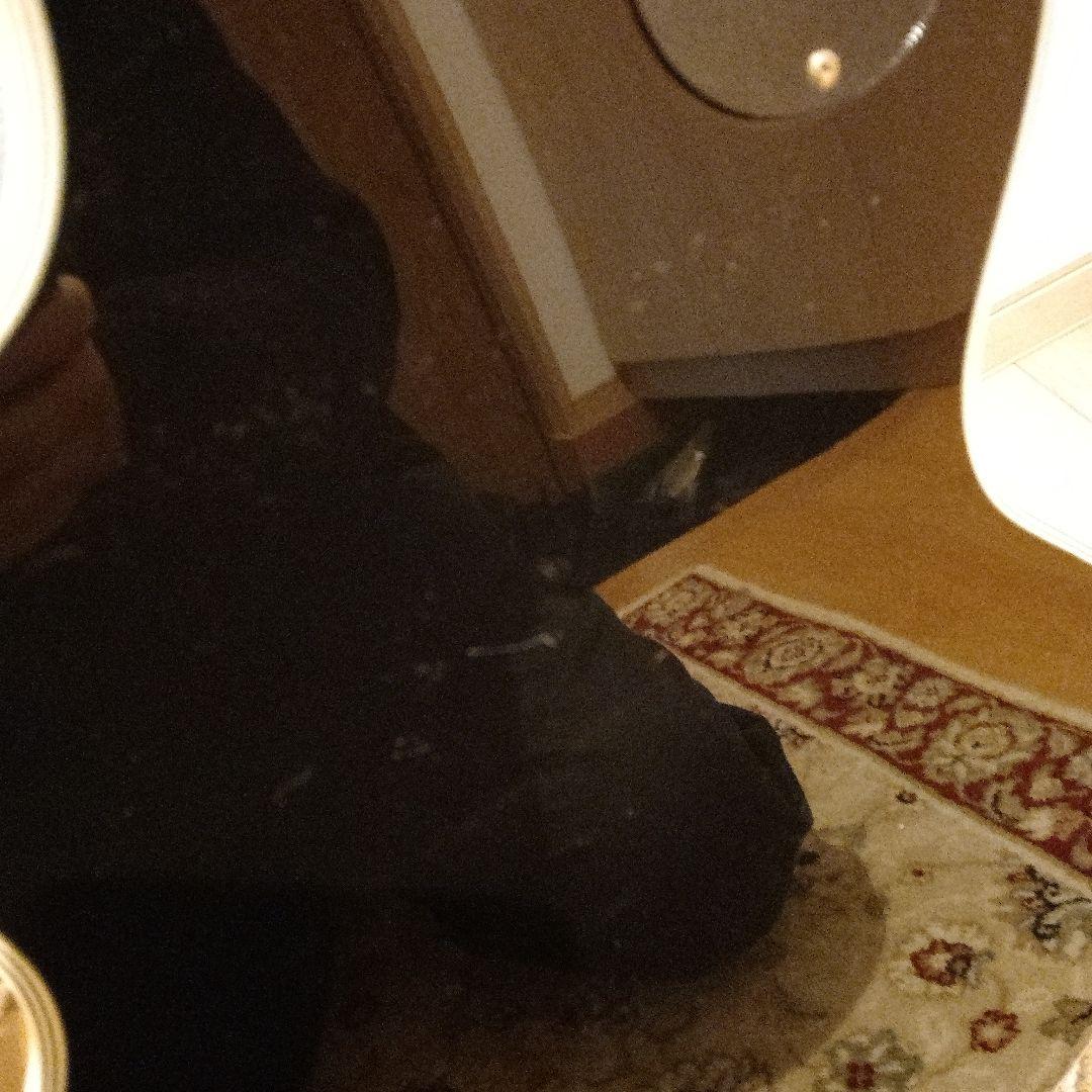 緊急セール【動作◯整備】Photogenic 　レスポールタイプ　エレキギター