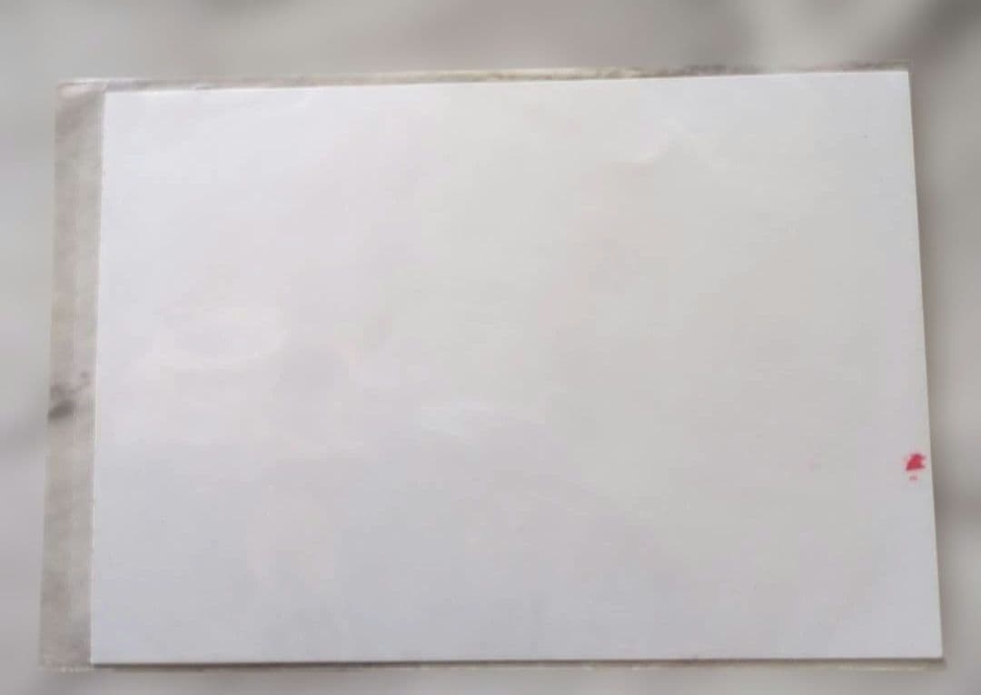 FRUITS ZIPPER 　アイドル　全員サイン入り　生写真　硬質ケース保存