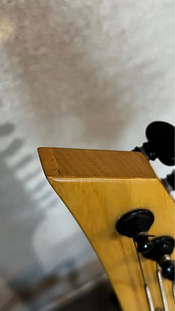 8弦ギター Agile ベアナックル&ディマジオSeptor 多弦