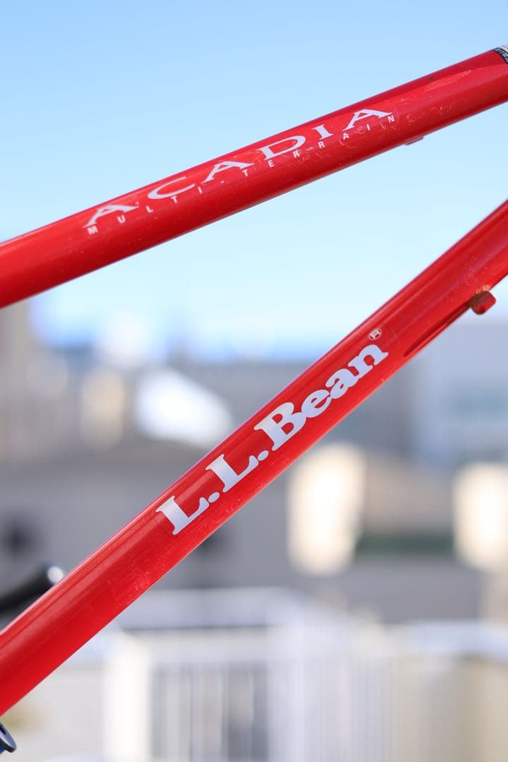 LLBEAN エルエルビーン OLD MTB 自転車 フレーム クロモリ