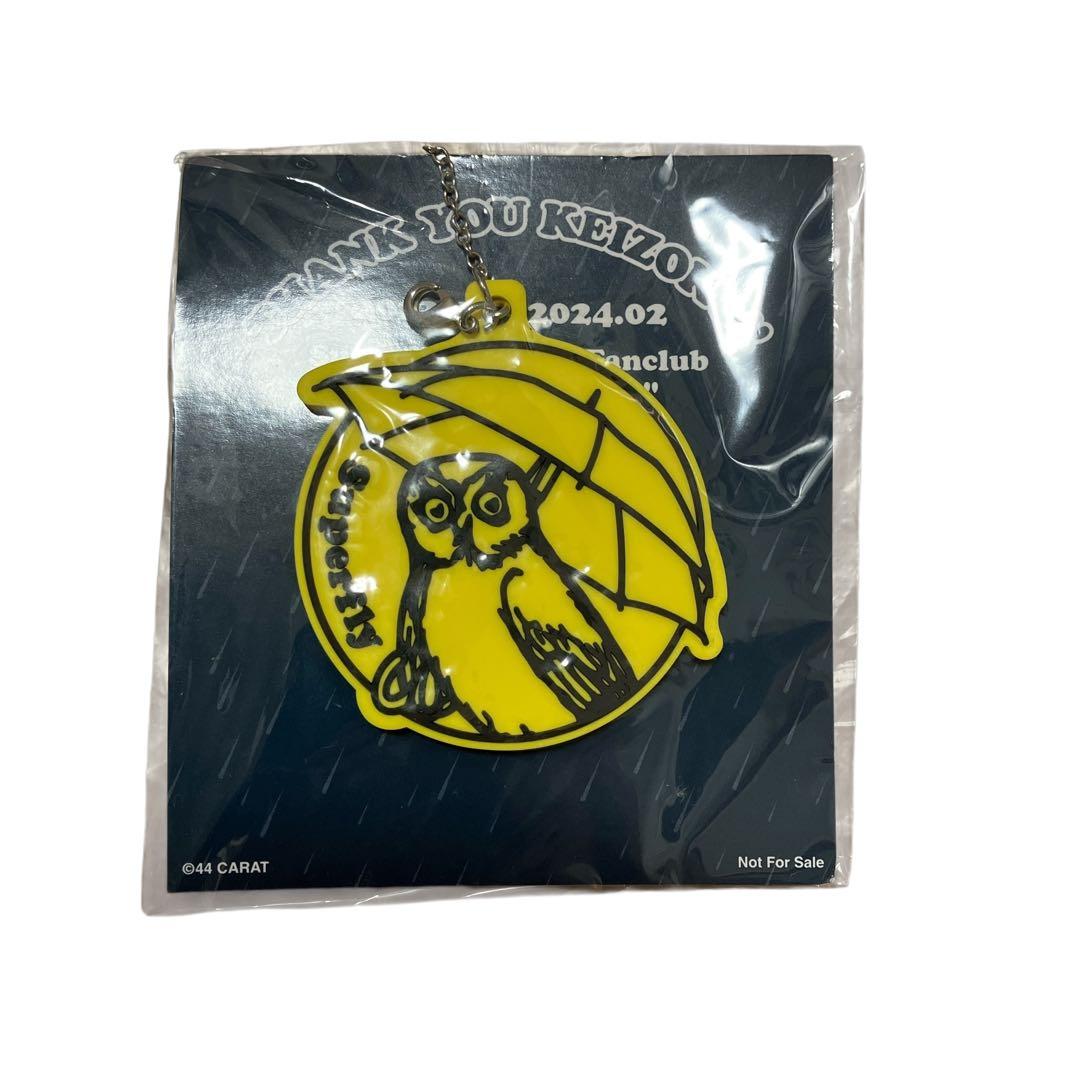 Superfly グッズ　グリュッククッション・ピンバッジ・ ボトル・マグなど