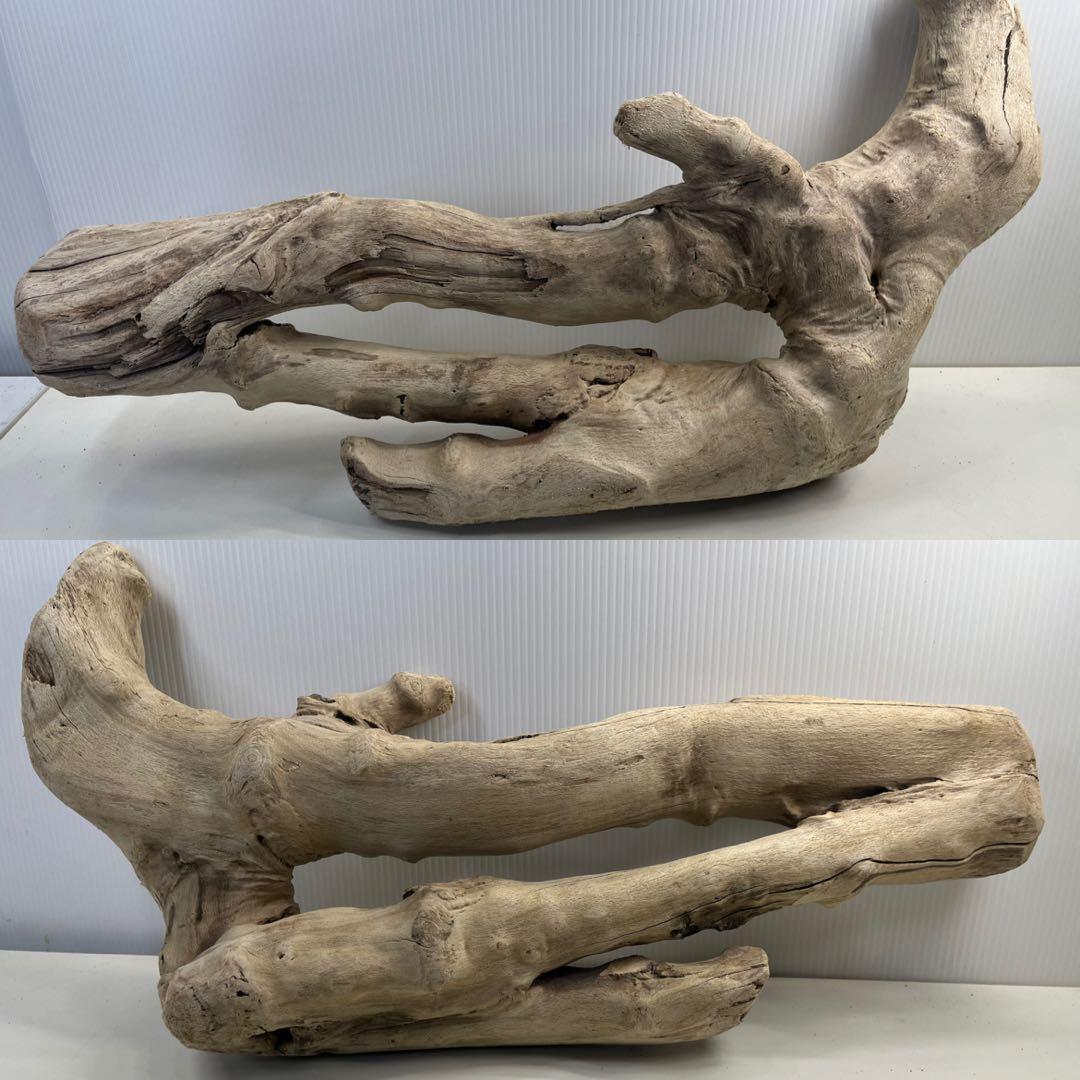 k6大型流木 アク抜き済み 爬虫類シェルター レイアウト用 登り木 インテリア