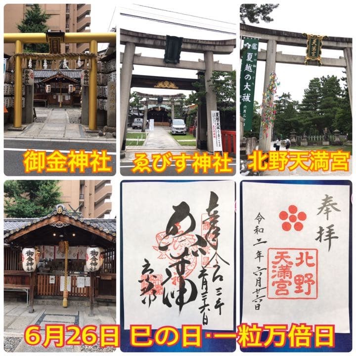 C　白蛇切らずに一匹 御守り お守り 額 縁起物 金 和紙 友禅 友禅和紙