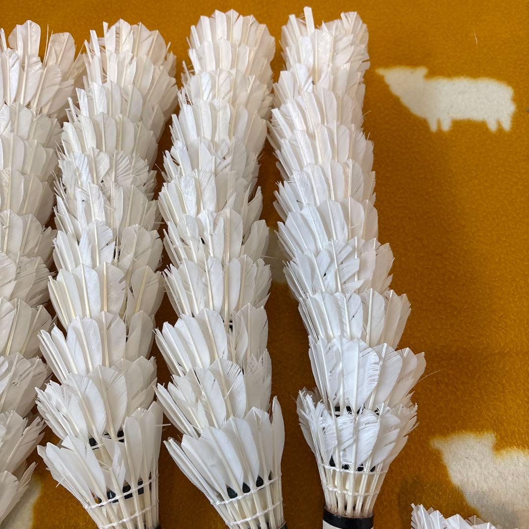 バドミントン　ノック用シャトル　220球セット　ヨネックス　ゴーセン