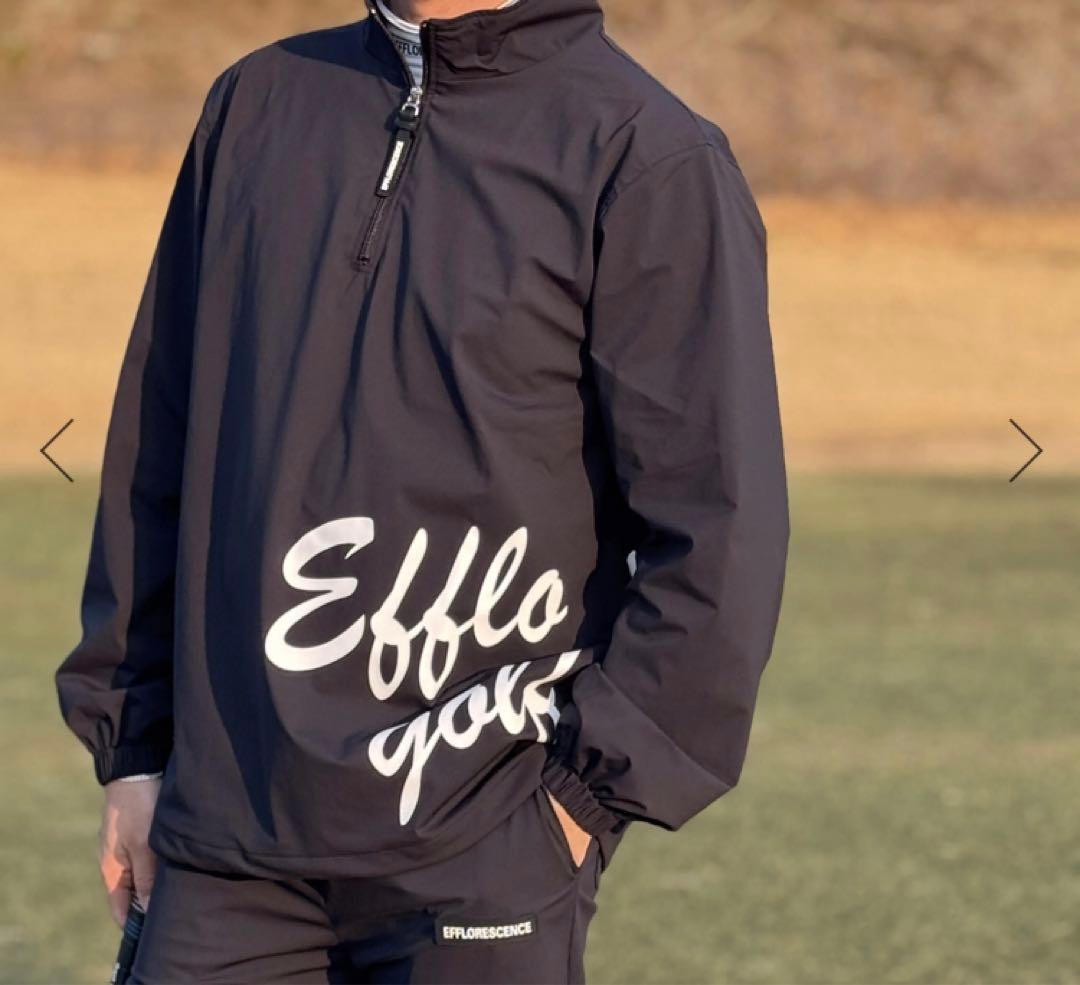 エフロレッセンス　セットアップ