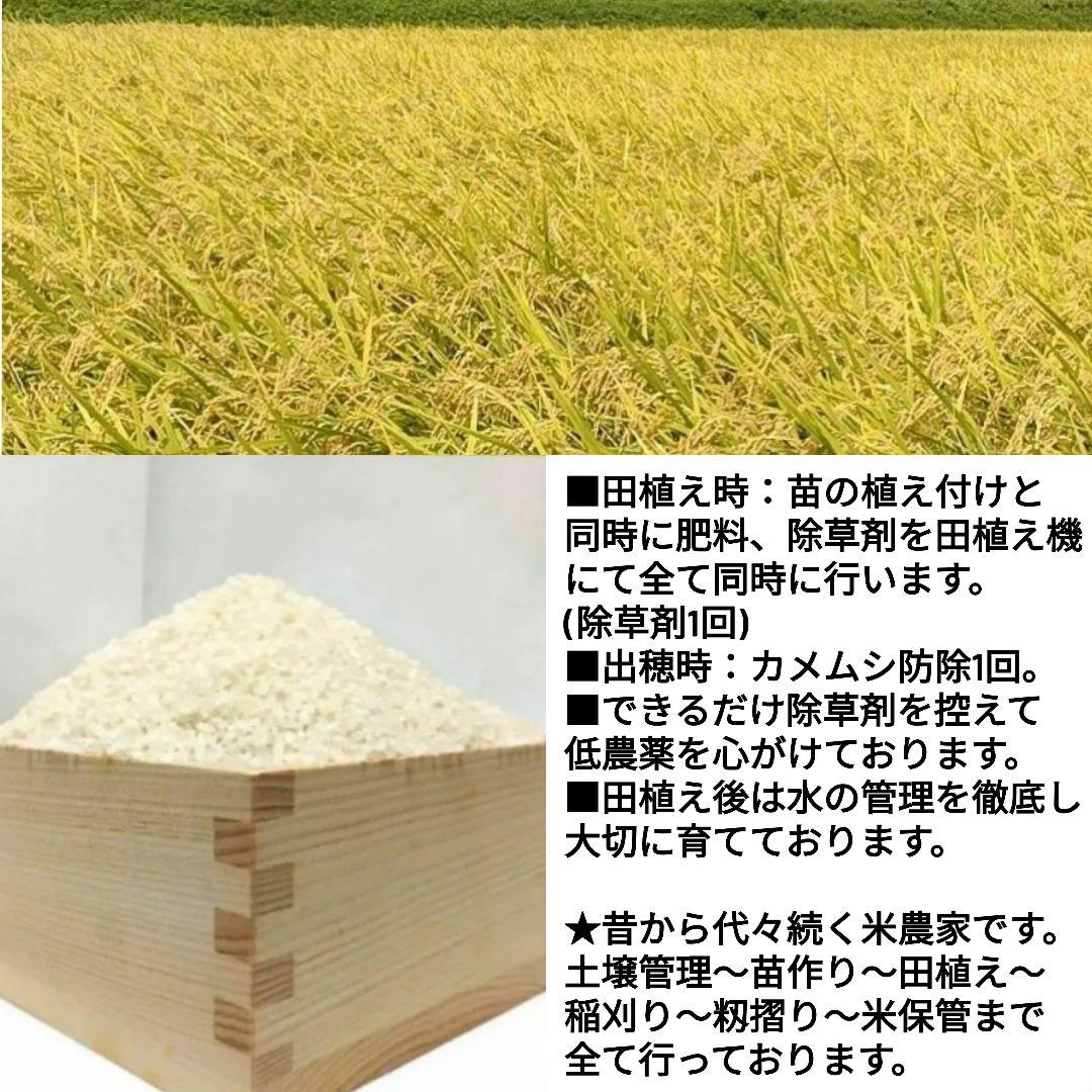 令和7年産 茨城県産 コシヒカリ 白米 精米代込み 10Kg 10キロ ②