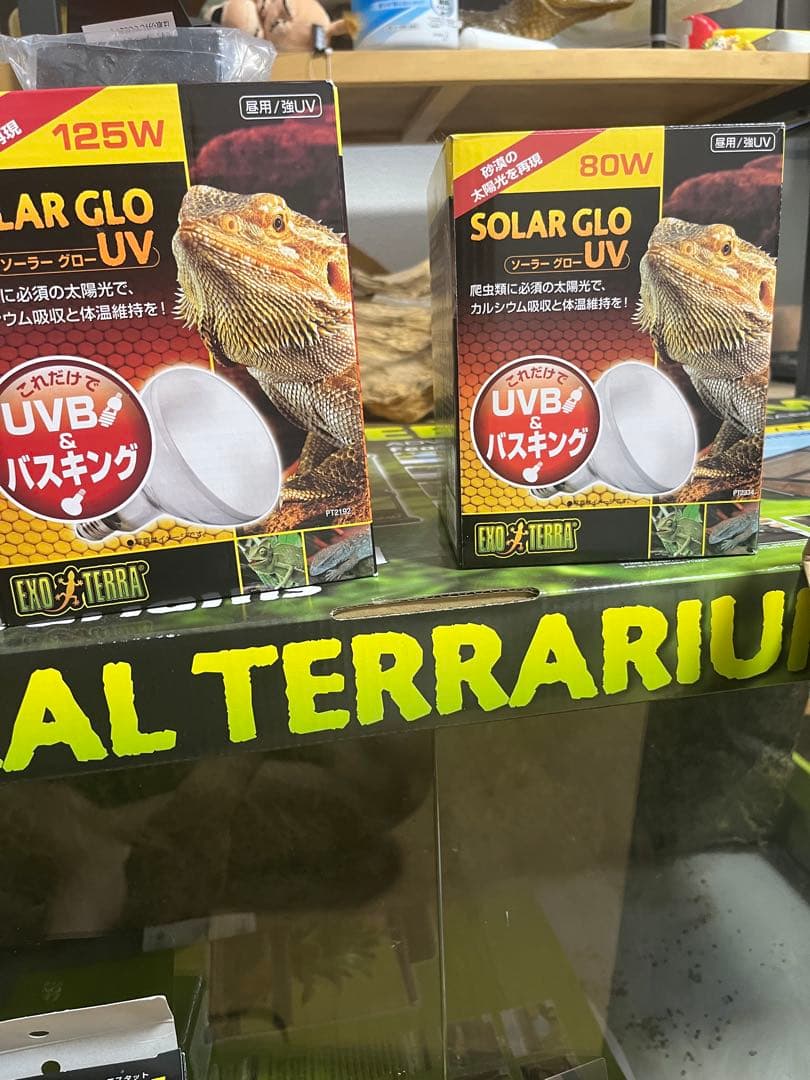 爬虫類　飼育セット　90×45 グラステラリウム