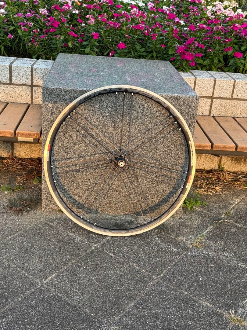 Campagnolo SHAMAL ULTRA C15（2WAY仕様)